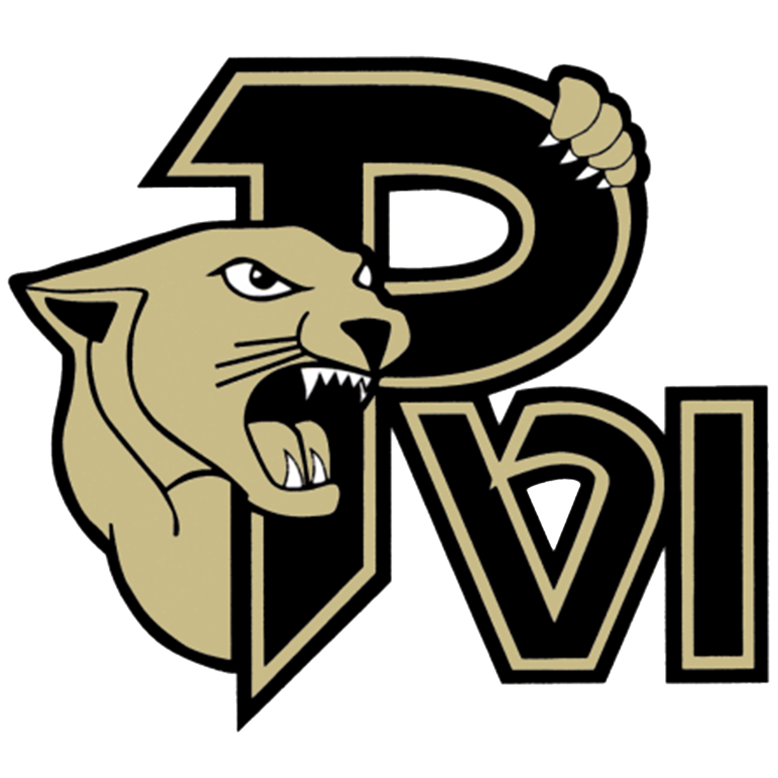 PVI Music Logo